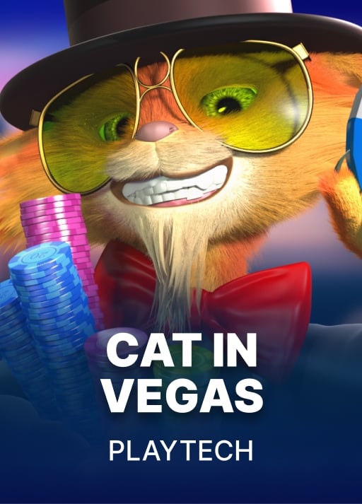 Cat in Vegas