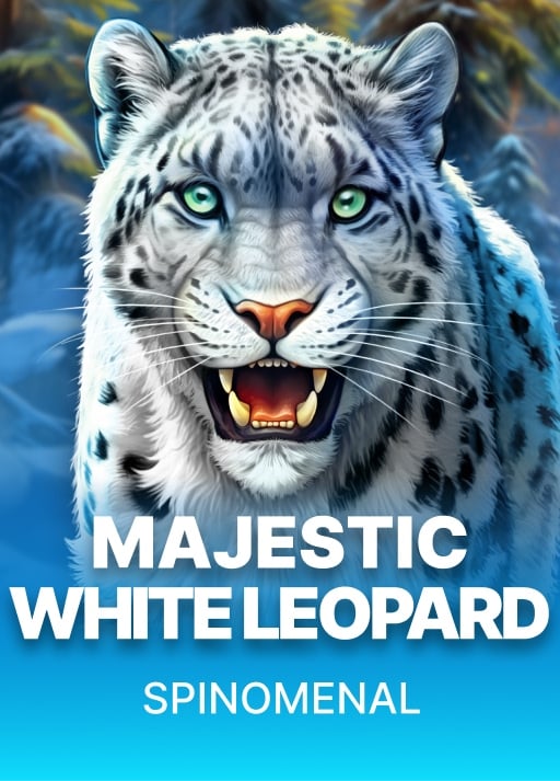 Majestic White Leopard